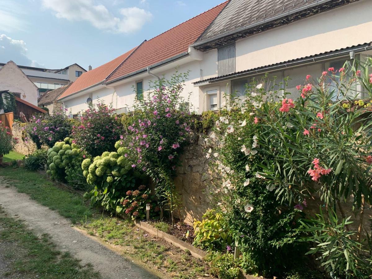 Ferienwohnungen Zum Briefmarkenhaus 몰비슈암시 외부 사진